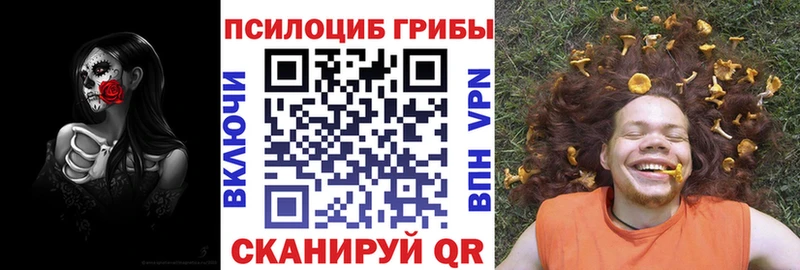 наркота  Волгодонск  Псилоцибиновые грибы ЛСД 